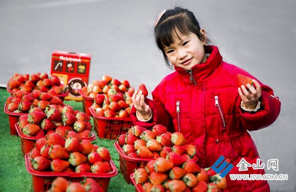 微信图片_20240130105556