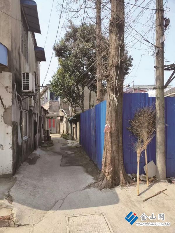 龍泉村景 圖：夏躍珍 攝