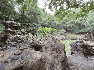 伯先公園的假山
