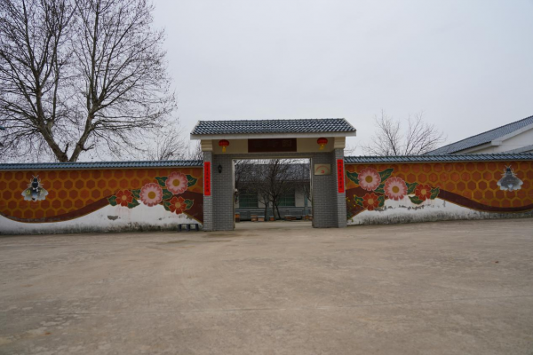 图片1