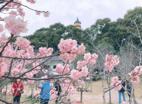 01e6b89ff6ff09ad385ecbe7e4848b0d27