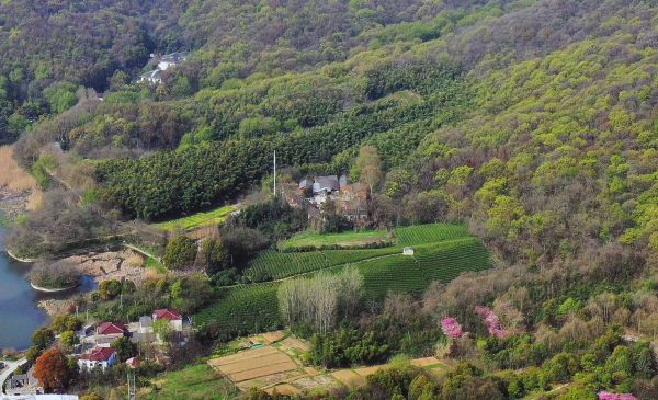 0102d83828a4b60b96809d63211e930256