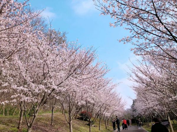 01830ad2ebc0b234cbd9adf2bffeee8082