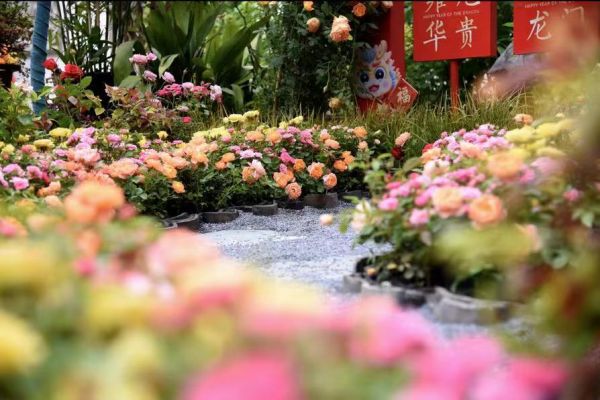 0186b9d24c54e7b9d5fd205765f9ada823