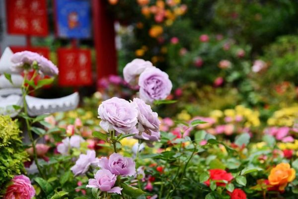 0156e59688966c27716a20835edc4975cc