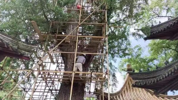 019f7a5928fa29753304ee78de8b43a431