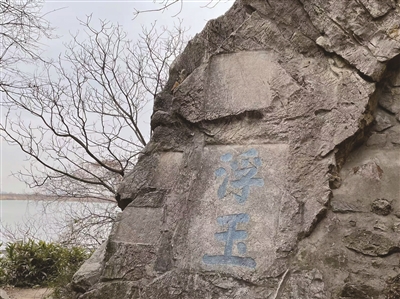 6233126_bf_1731674554704_b