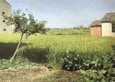 丹陽褚遂良墓遺址