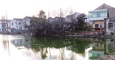 蕭懿故里塘頭村 圖：盧政 提供