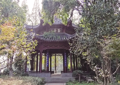 6383896_bf_1737809699871_b