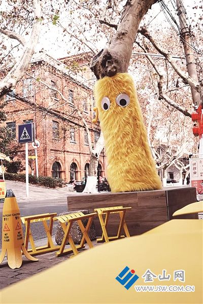 6401518_bf_1739005669092_b