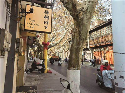 6401520_bf_1739005631371_b