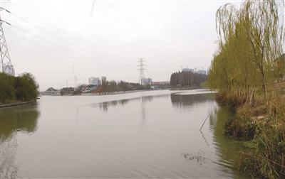 杜野湖 圖：王禮剛 提供