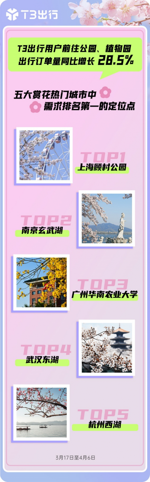 T3出行数据出炉年轻人打车去看春天赏花热潮全面开花
