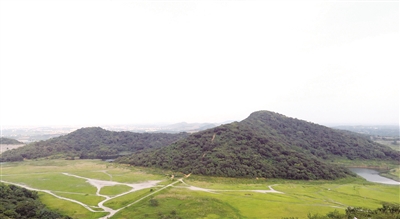 金牛山全景 圖：王鐵牛 提供