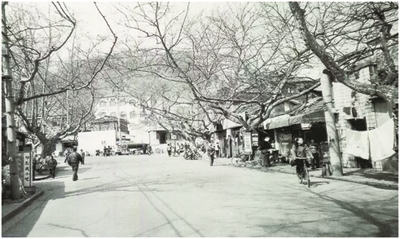 6675842_bf_1750333817785_b