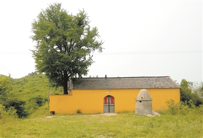 馬跡山禹王廟 圖:王禮剛 提供