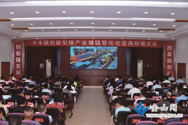 辛丰年中报2025-2_s