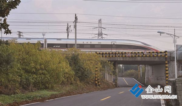 辛丰年中报2025-9_s