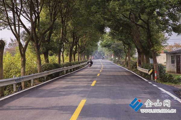 辛丰年中报2025-4_s