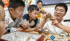 探秘外來物種 爭做安全小衛士