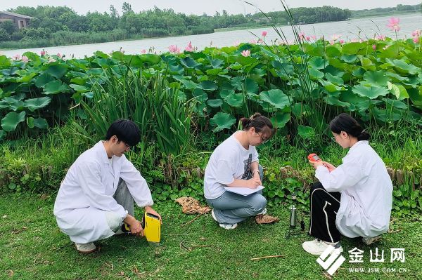 圖為團隊成員采集土壤樣品。