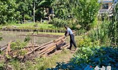 世業(yè)鎮(zhèn)進行河道整治為村民打造休閑好去處