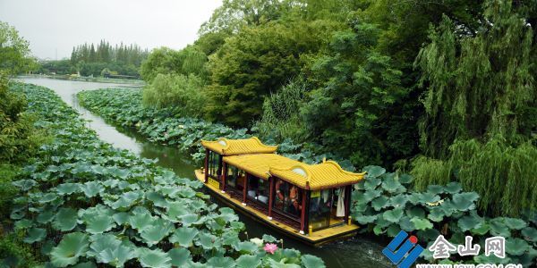 氣溫暫降 游園正當(dāng)時(shí)