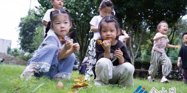 幼兒園里“玩”秋天