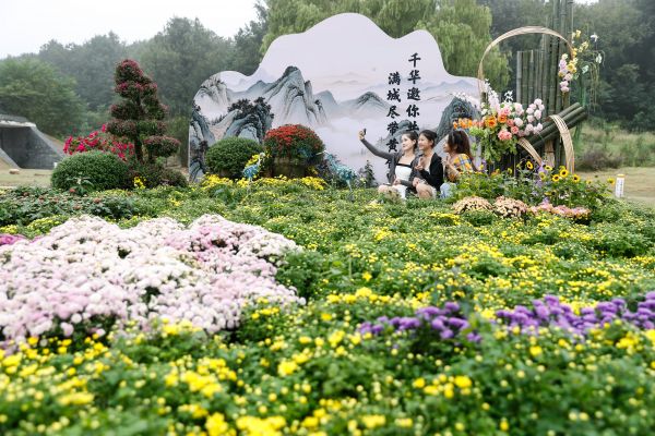游客在寶華山國家森林公園菊花主題景觀處自拍。新華社發