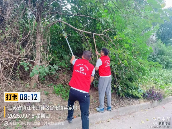 圖片 3