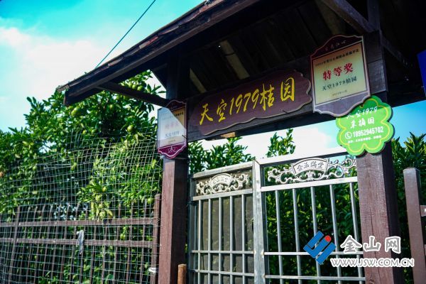DSC09855