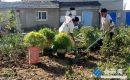 閑置地變身“幸福庭院”