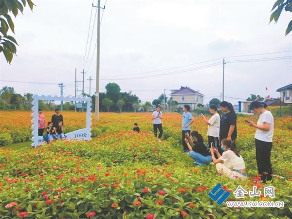 花海吸引眾多游客打卡。 唐倩 攝