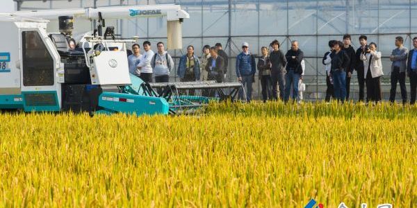 稻麥輪作智能農(nóng)機新裝備新技術(shù)示范應(yīng)用觀摩演示