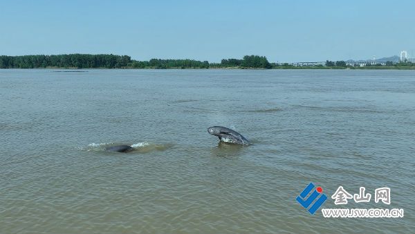 66714e46e4b0b1c3bfcdbdf8