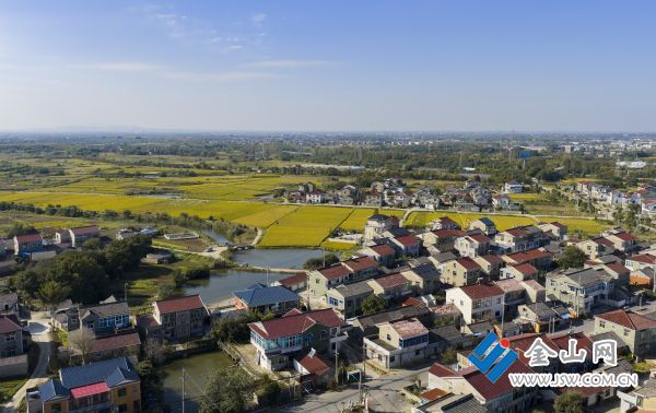 downLoad-20251029071737