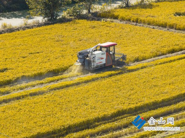 downLoad-20251031064819