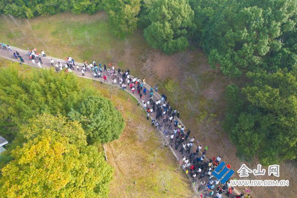 健步走活動現(xiàn)場 黃帥 攝