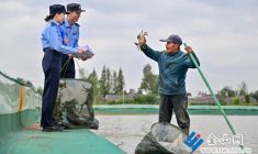 護航豐收反詐忙