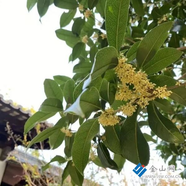 微信圖片_2025-11-05_170350_298