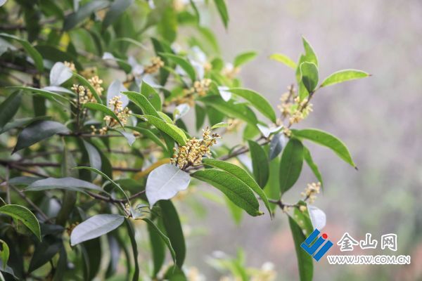 微信圖片_2025-11-05_171203_457