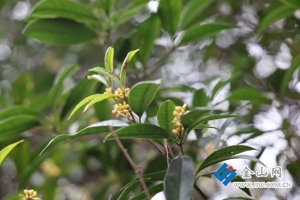 微信圖片_2025-11-05_171206_528