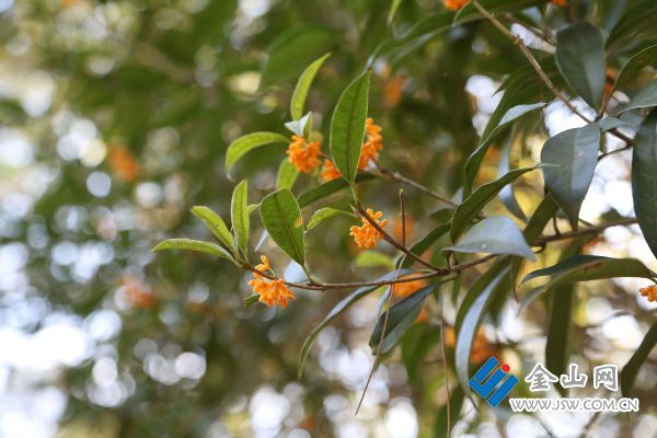 微信圖片_2025-11-05_172023_862