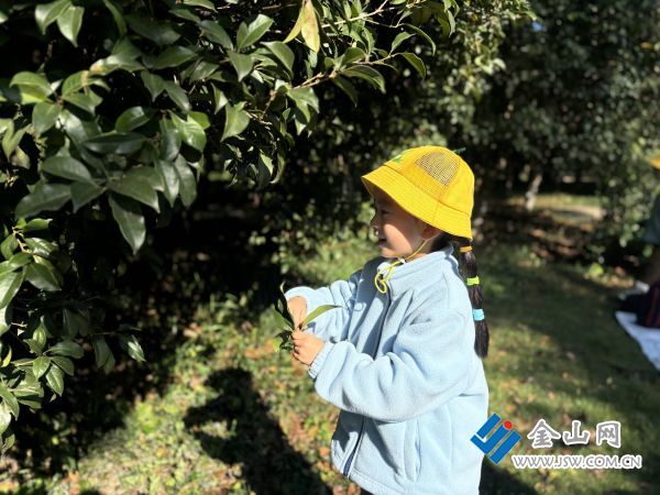 微信圖片_20251105143115_2_358