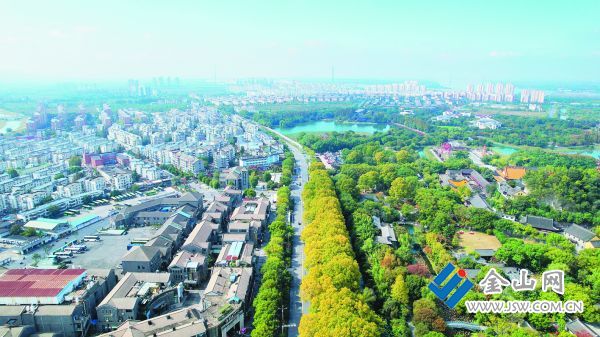 和平路街道航拍 張宇杰 盛林娟 攝影報道