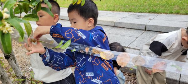 downLoad-20251109070144