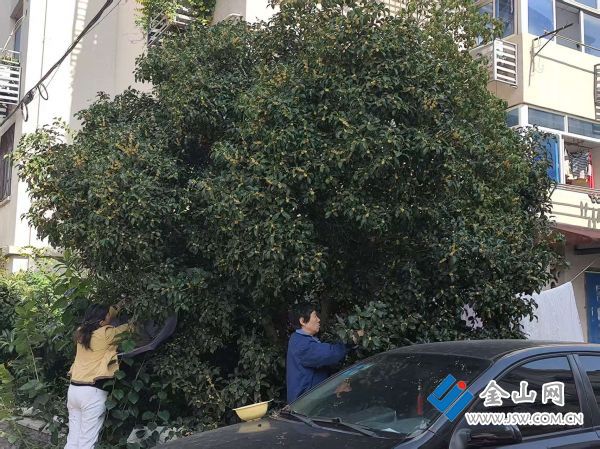 downLoad-20251110072055