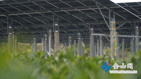 01dbed8c2199da0360b07c22286eacec52