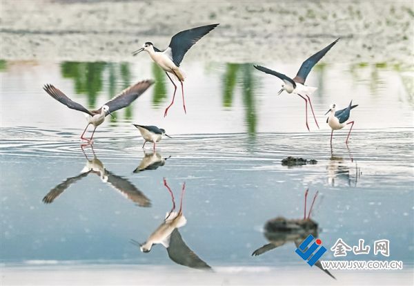 6963795_bf_1762689570747_s